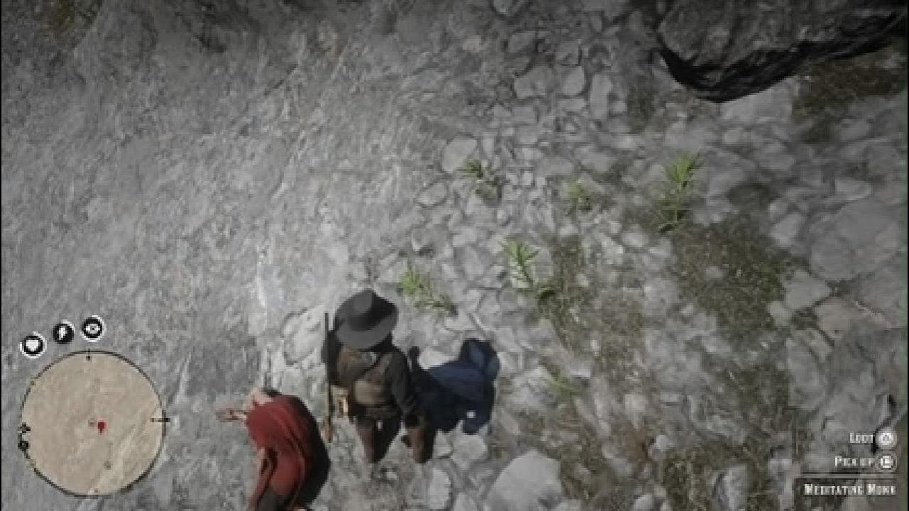 Red Dead Redemption 2_20260220140408