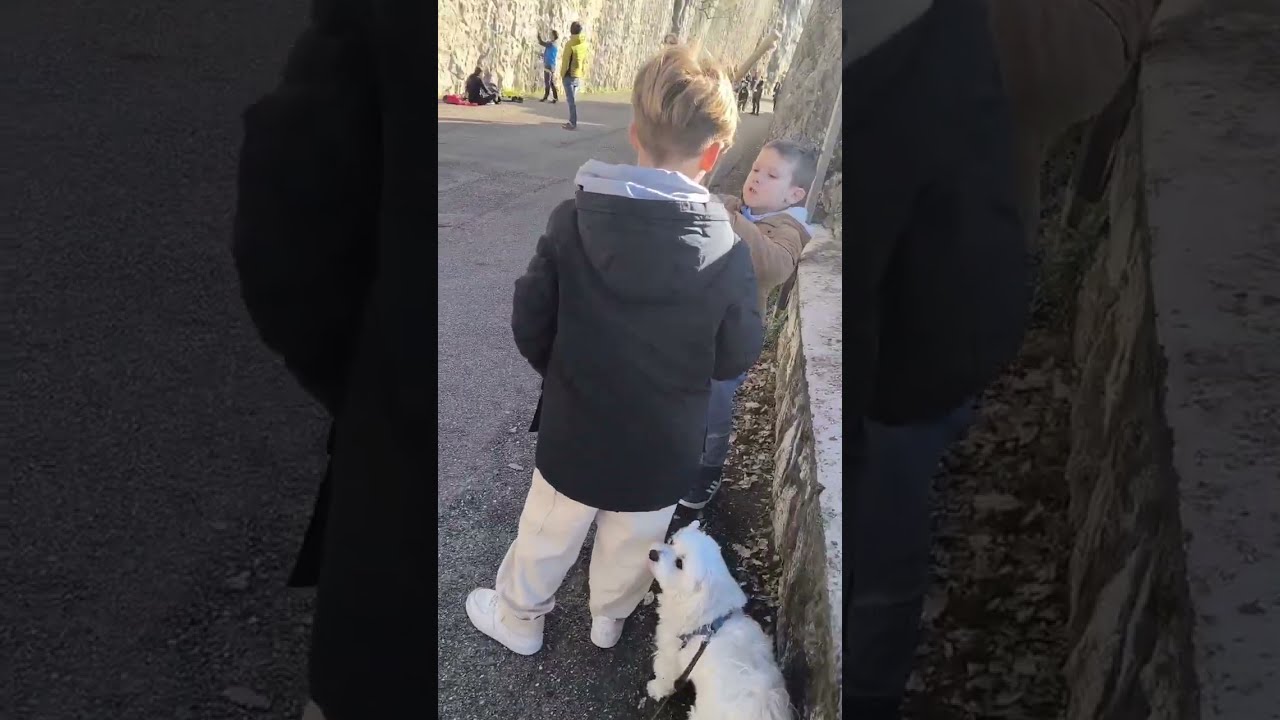 Un posto bellissimo per le passeggiate e rilassarsi🐶❤️ #puppy #pets #dog#cani #youtubeshorts #köpek 