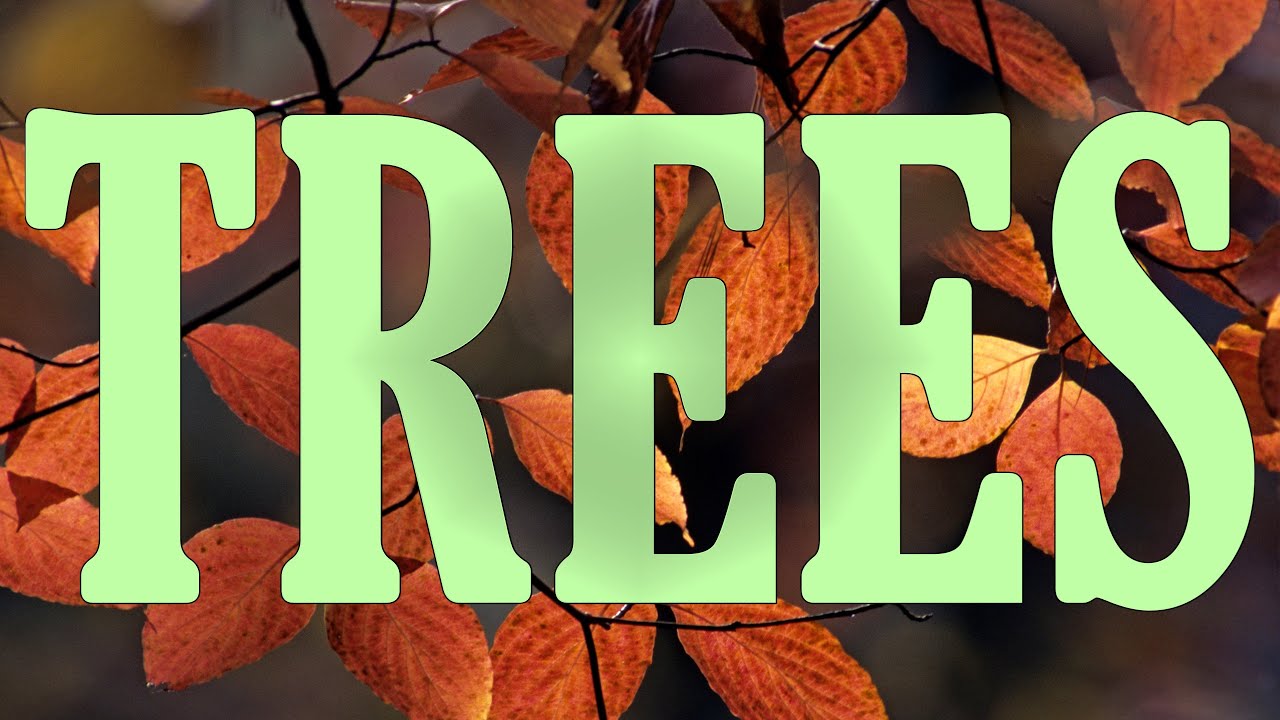 “Trees” play a crucial role in supporting, promoting, biodiversity, habitat for organisms and food