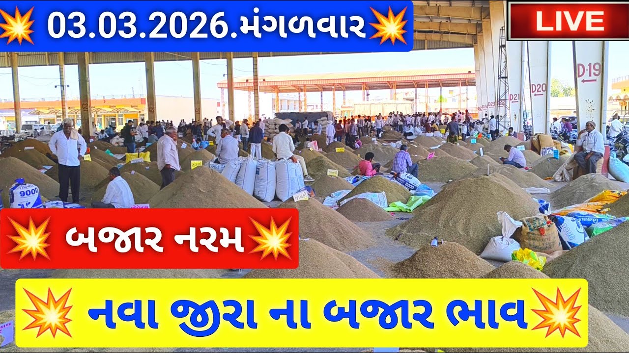 🔴live નવા જીરા ના બજાર ભાવ આજના જસદણ માર્કેટિંગ યાર્ડ,new cumin auction price today,March 3, 2026
