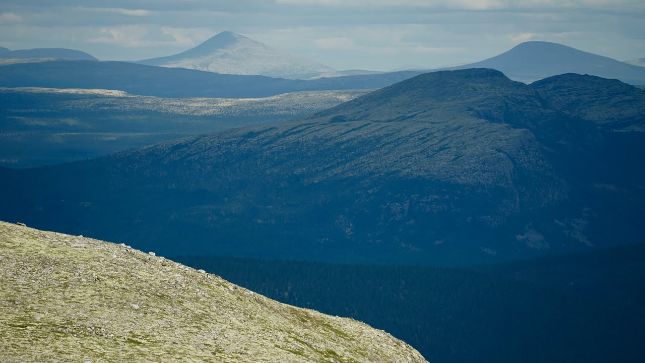 Alvdal