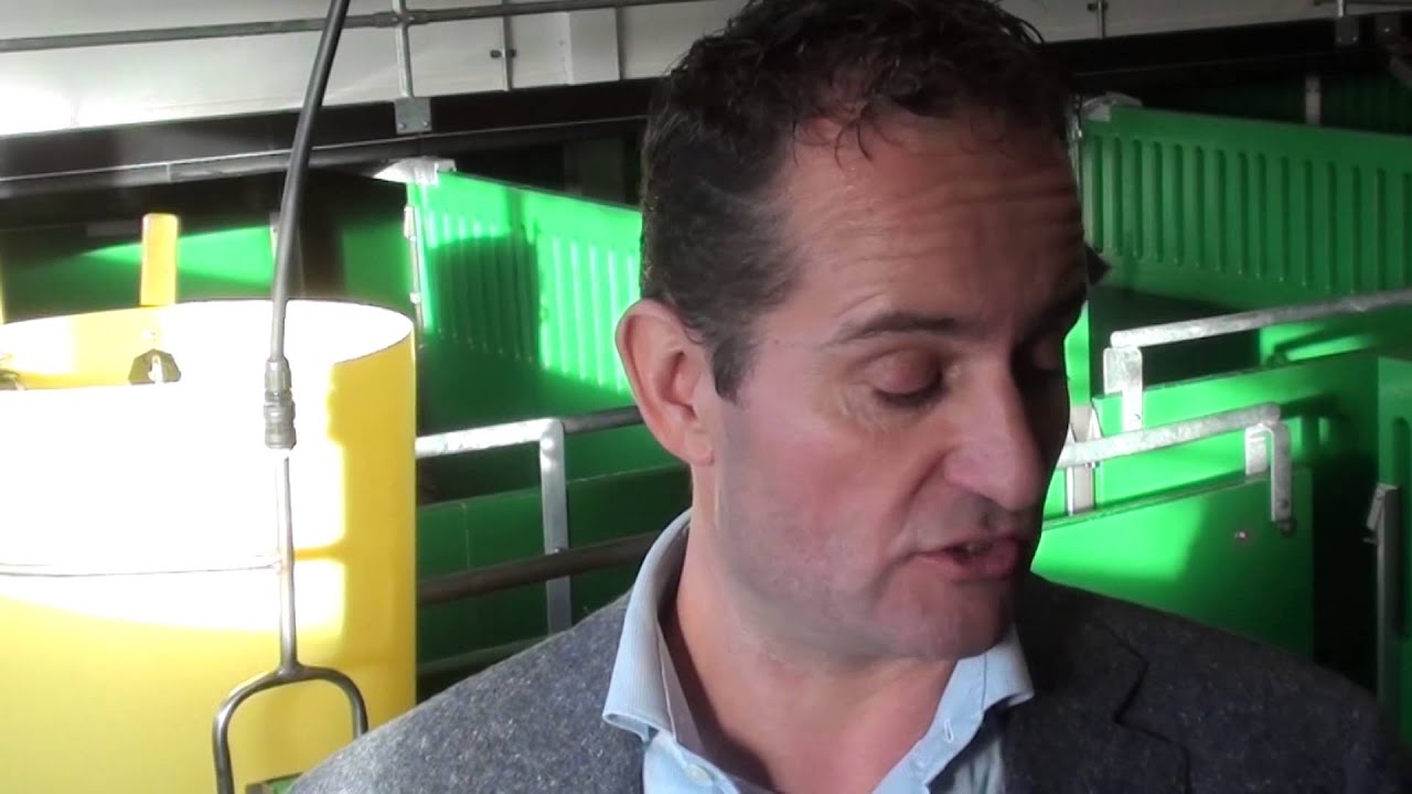 Nieuwe varkensstal van bierkratten