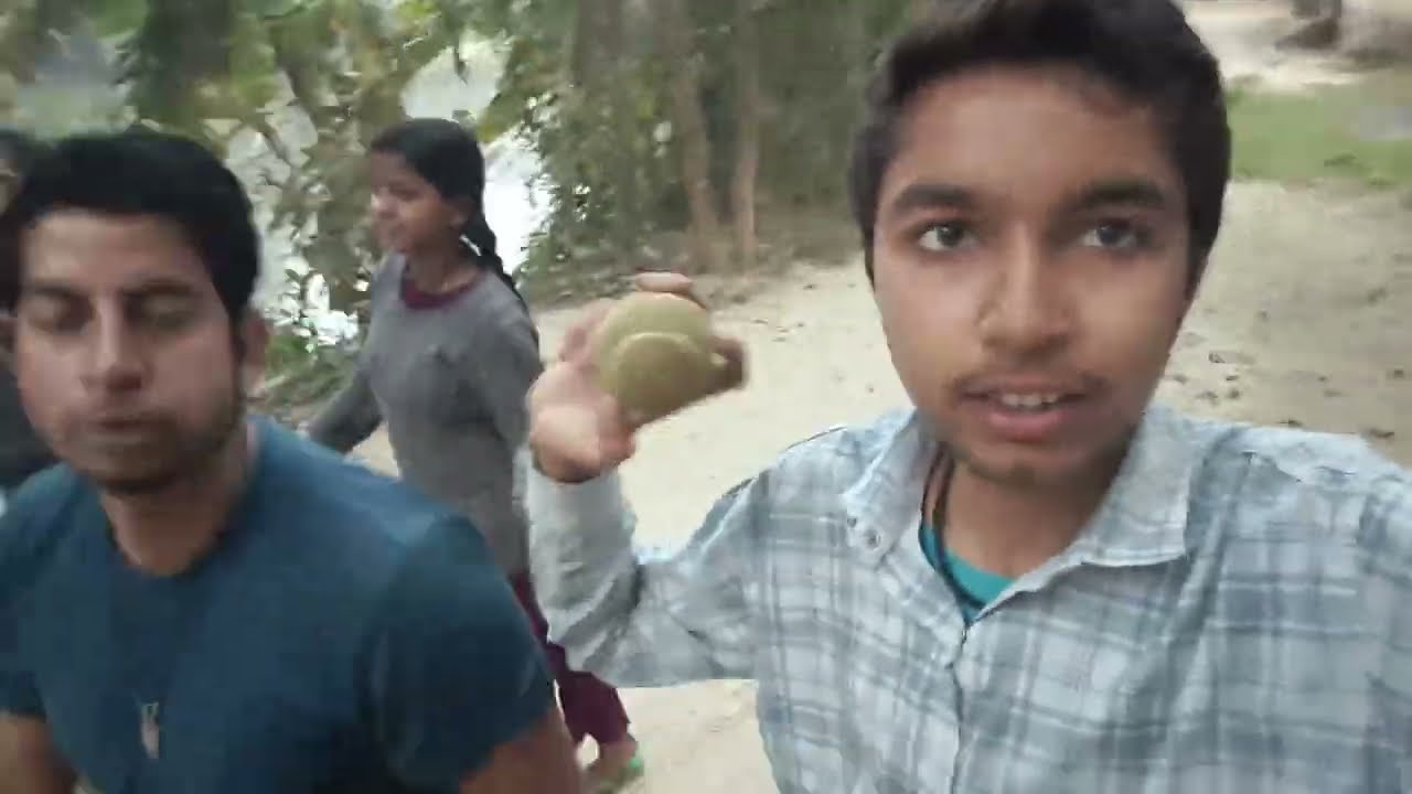 Cricket Ka Sabse Bada Drama! 😱 Ball Kho Gayi Jungle Mein? 