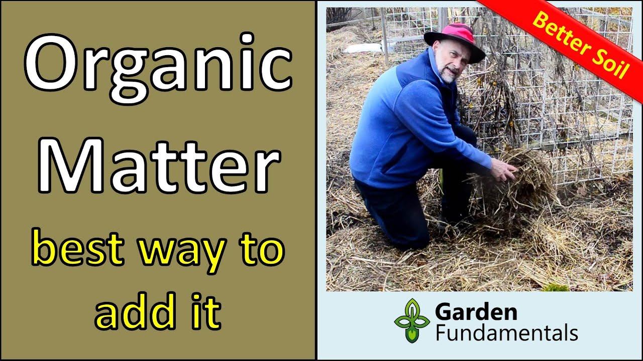 How To Add Organic Matter to the Garden 🎨🌺🌳 Which One is Best?