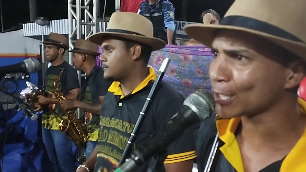 leão mimoso de Paudalho em lagoa de Itaenga 11/02/2024