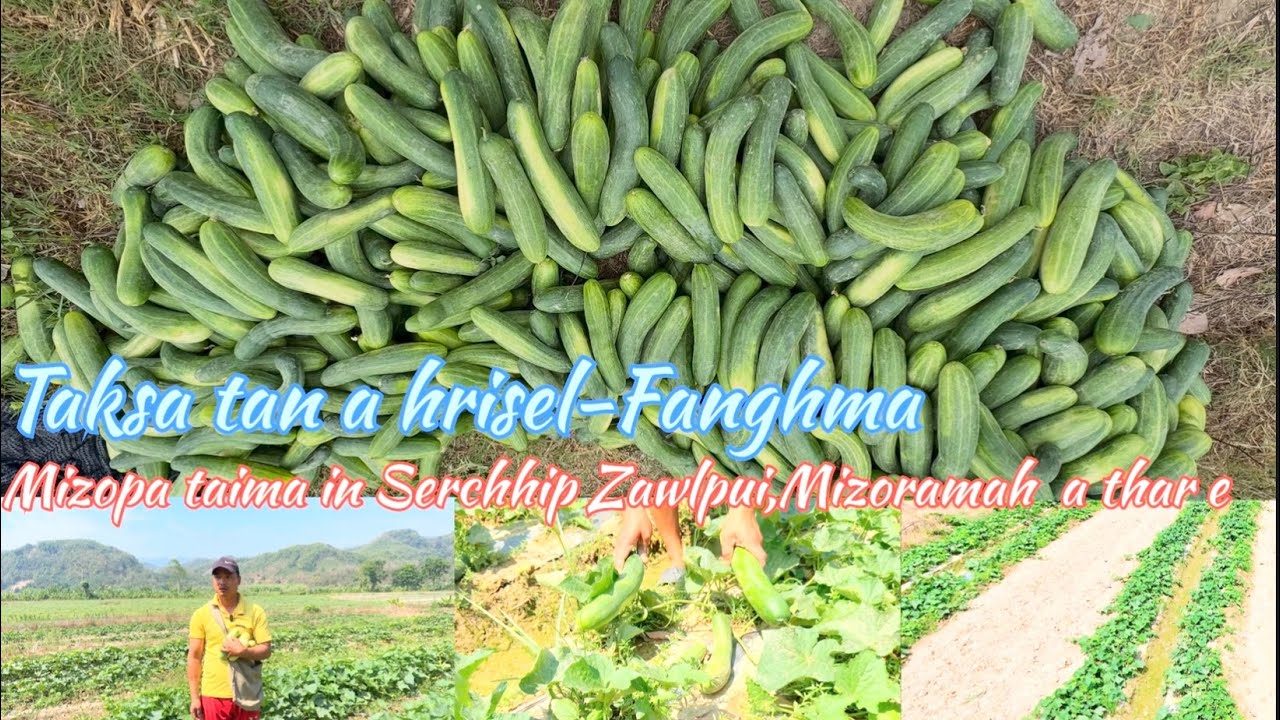 Fanghma an thar ve ta e-Tuichar zau,Zawlpui Serchhip