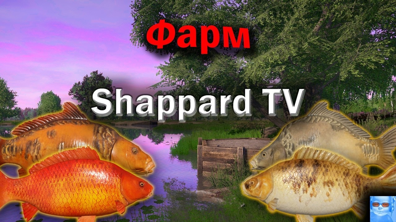 Русская рыбалка 4 🌎За трофами!!!🐠Розыгрыш Silver 80(23.6кг)🔥Снасти,премы и гн в рулетке🔥