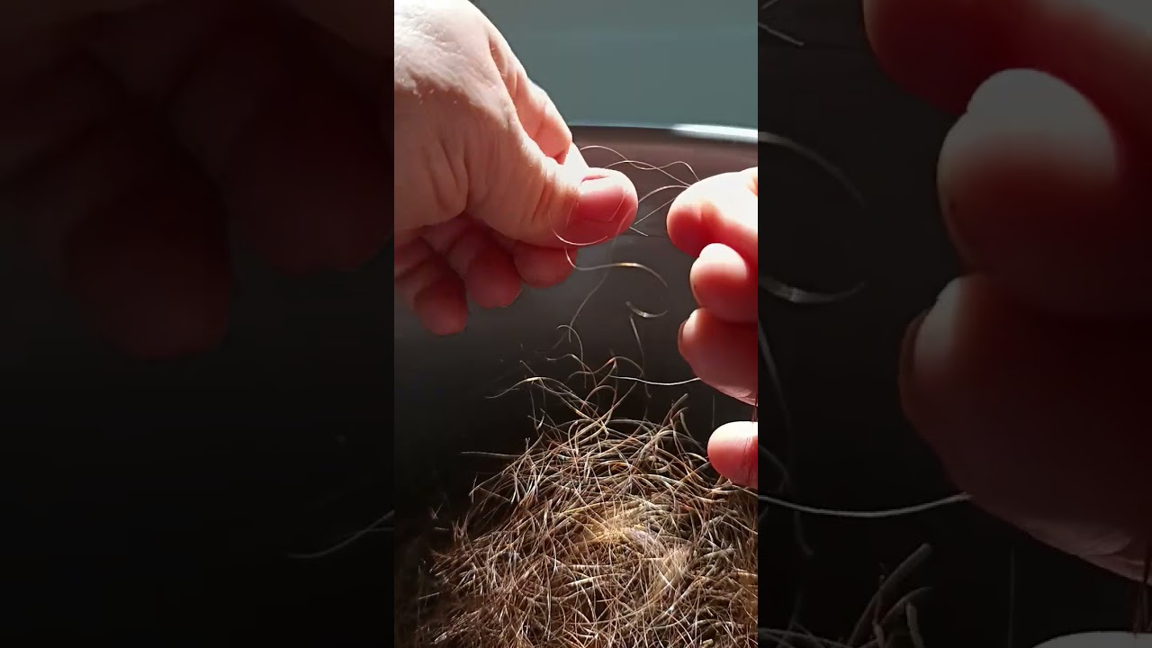Finding split ends 