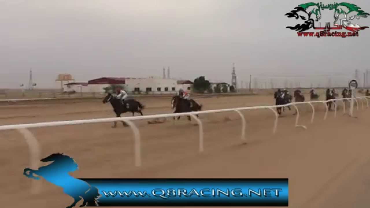 الجواد الحريري