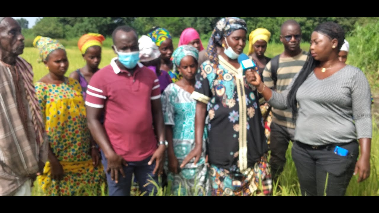 KOLDA: vie et environnement à Saré Guéladio; SODAGRI partenariat avec TACE ART
