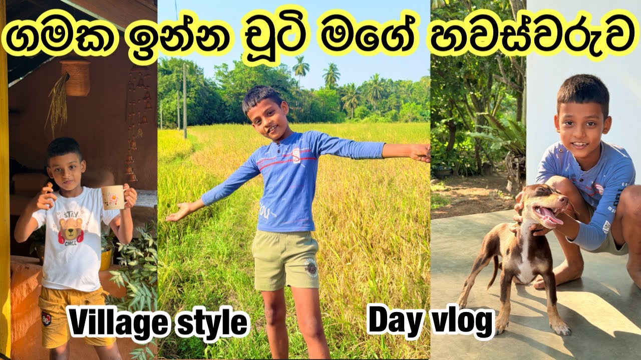 කුඹුර මැද්දෙ තියන නැන්දලාගේ ගෙදරින් පොල් හොයන්න යමූ යාලුවනේ 🌴 || අපේ ගමේ ලස්සන || රං කොල්ලා