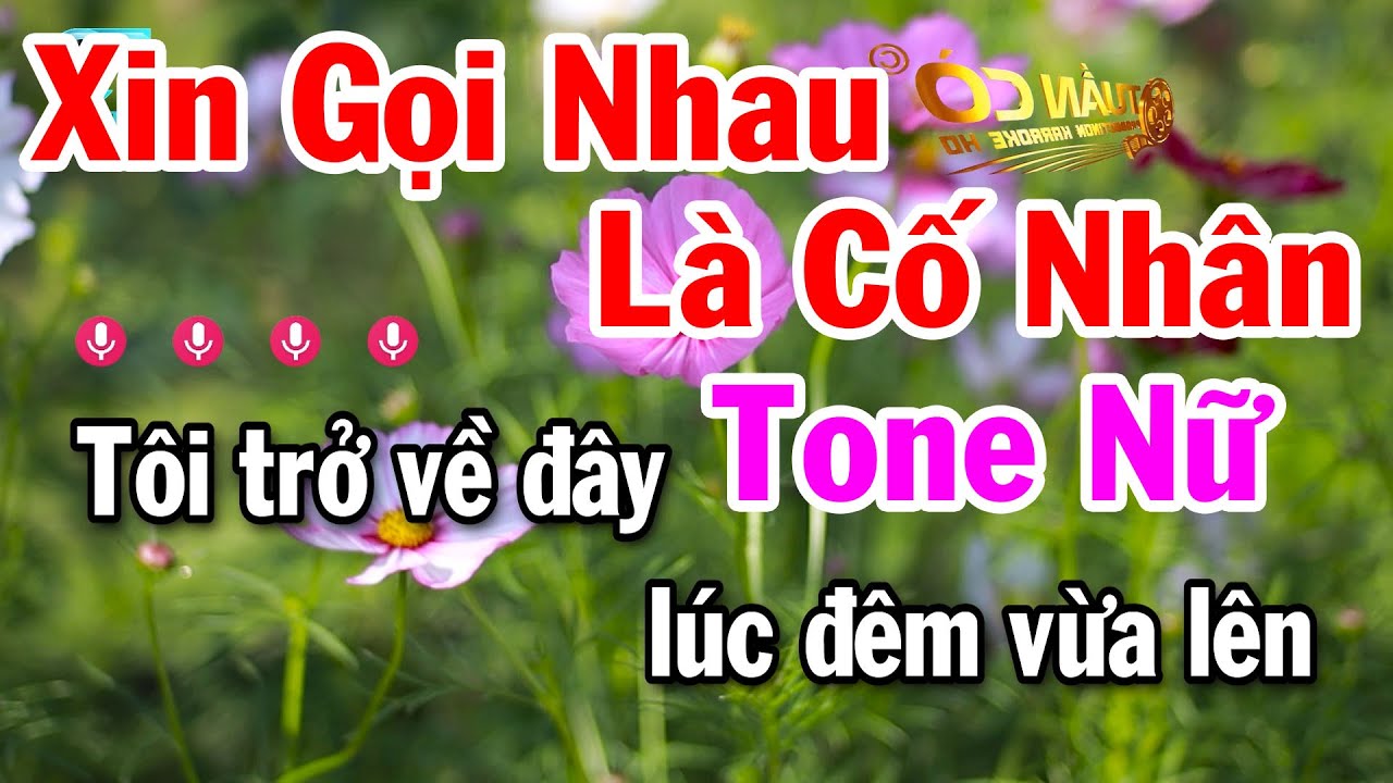 Xin Gọi Nhau Là Cố Nhân Karaoke Tone Nữ Dễ Hát 2025