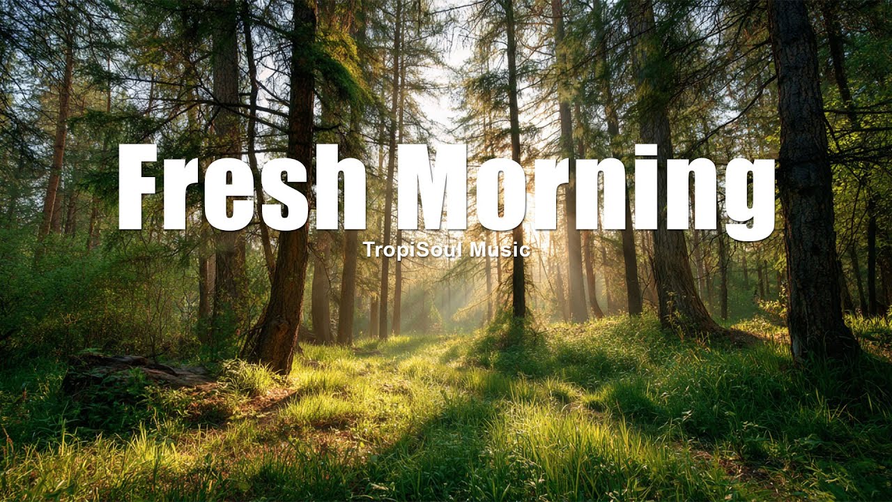 Fresh Morning ☀️ | Feel-Good Tropical House & Happy Chill Vibes