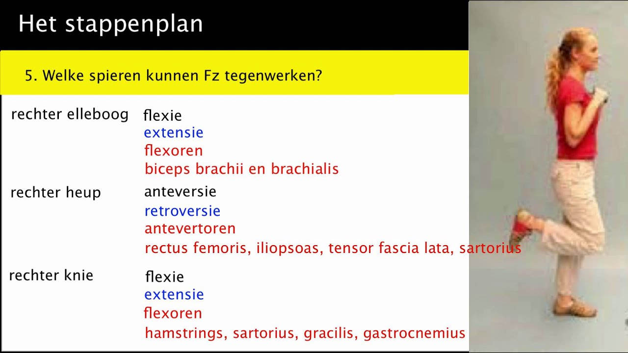 Bewegingsleer: de houdingsanalyse