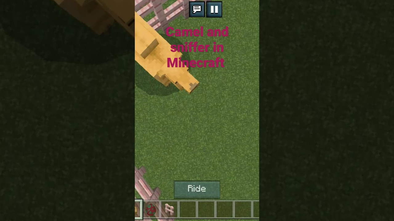 Minecraft desert update 1.20