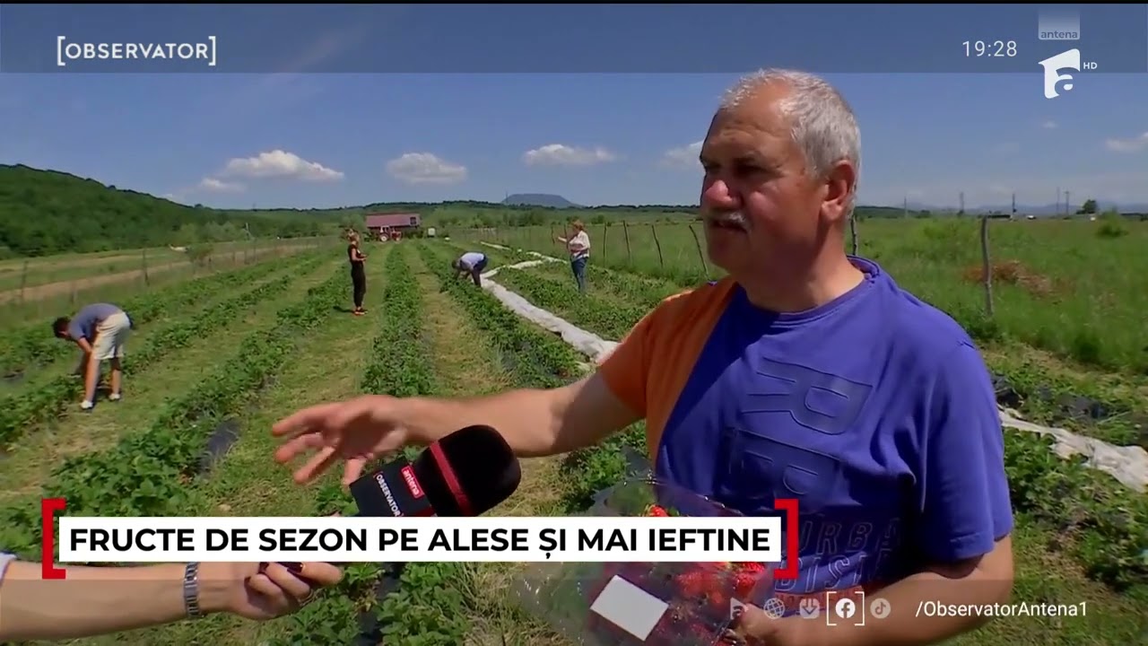 Afacerea cu care Dorin a facut un profit neasteptat