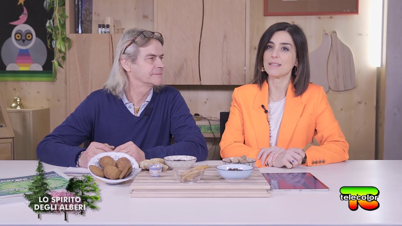 Lo spirito degli alberi: la via delle spezie: noce moscata, cannella e chiodi di garofano