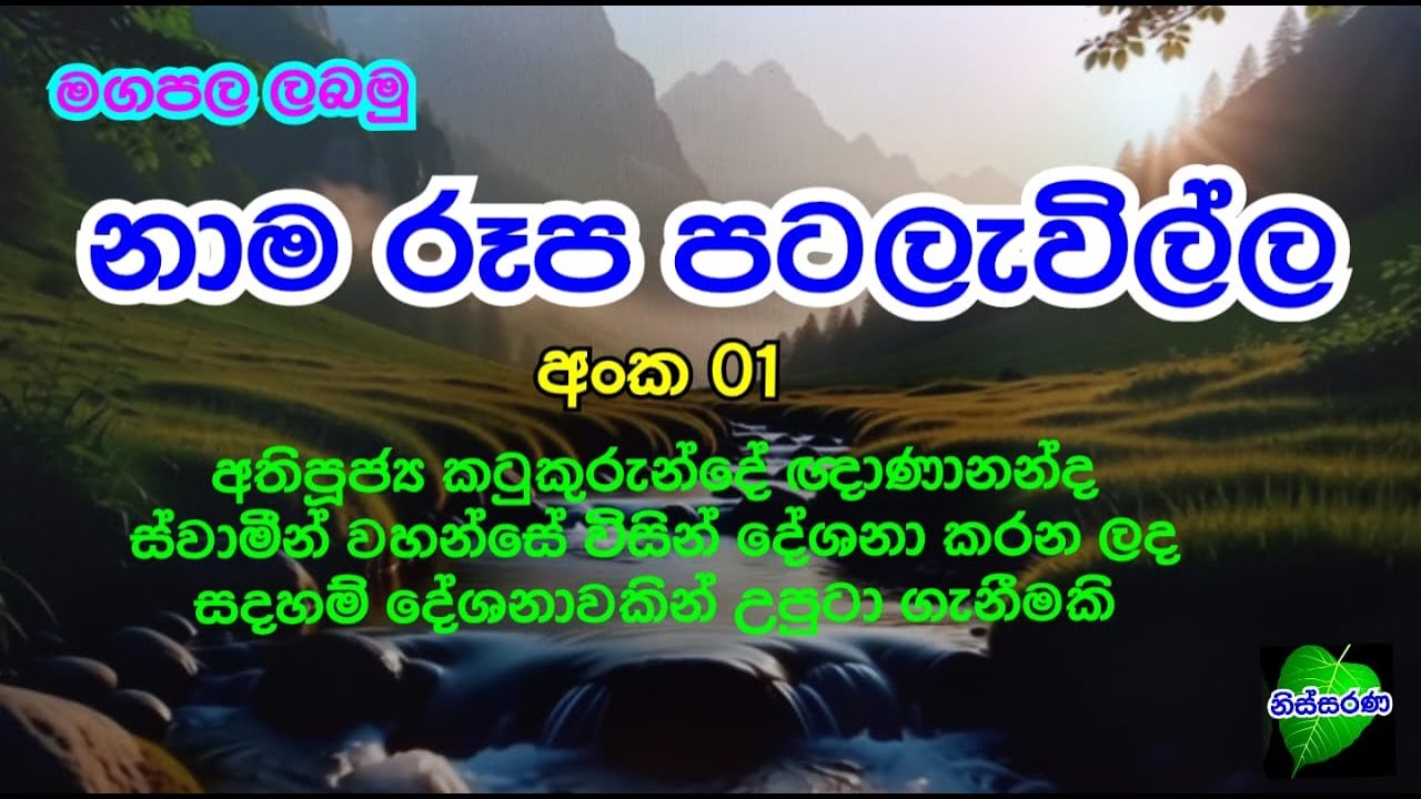 නාම රූප පටලැවිල්ල අංක 01#Maga Pala labamu#නිස්සරණ#dailymeditation🤯Dive deep into the nature#bawana
