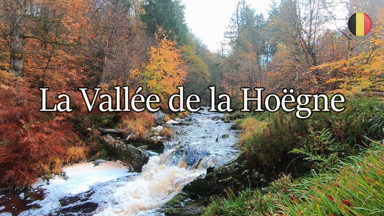 La Vallée de la Hoëgne in autumn
