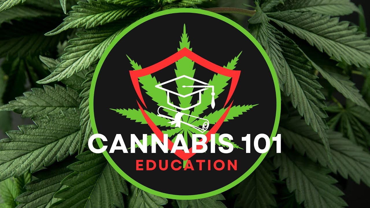 The Seed Connoisseur Club-Joel-Nor Star Genetics