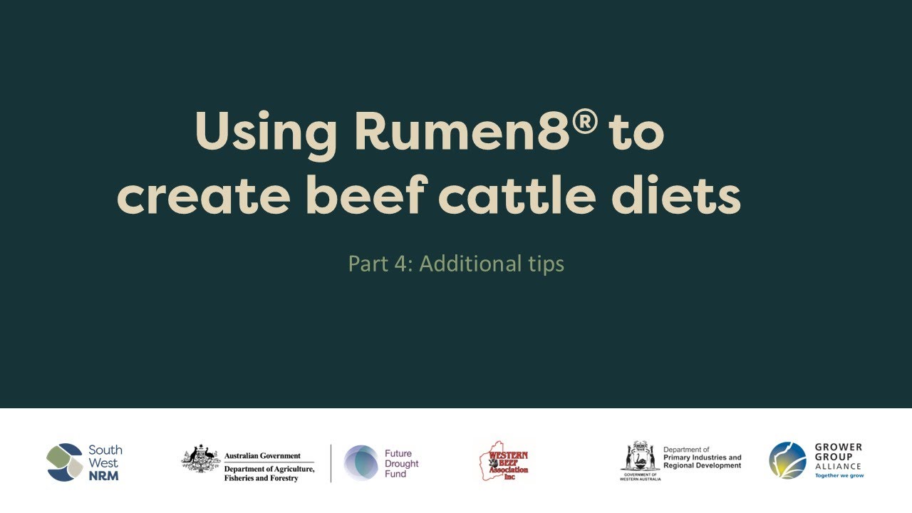 Using Rumen8 software to create cattle diets - Part 4 - Additional tips