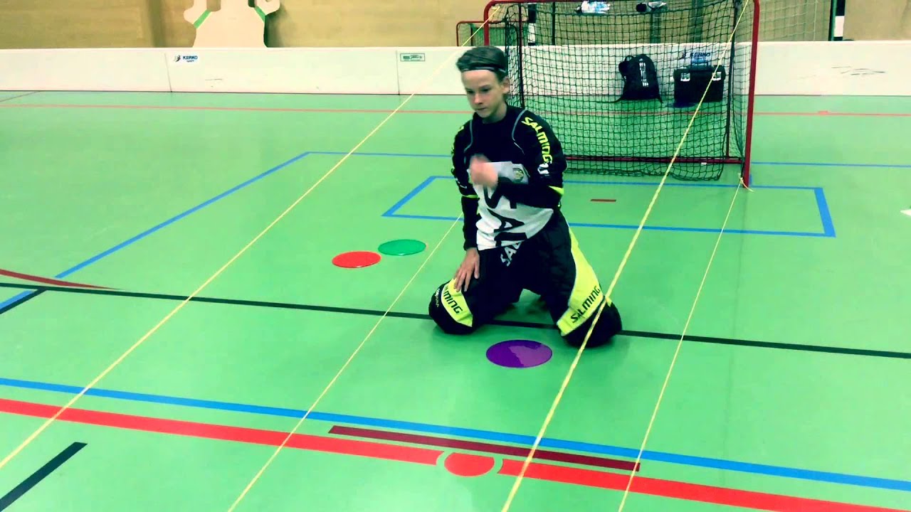 SSV Maalivahtivalmennus 2015-2016
