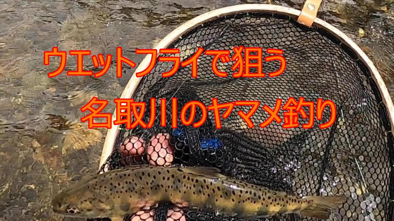 ウェットフライで狙う名取川のヤマメ釣り