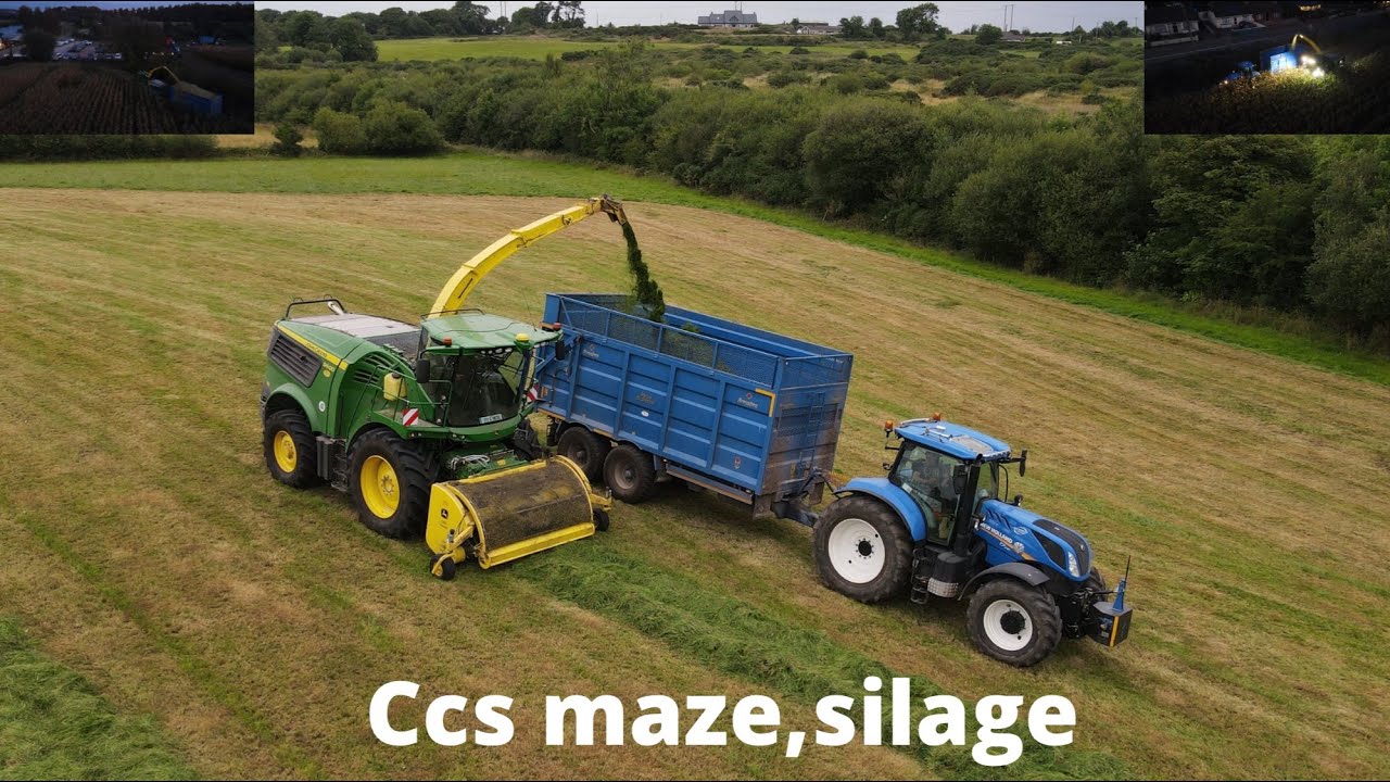 Ccs at maze and silage 2021
