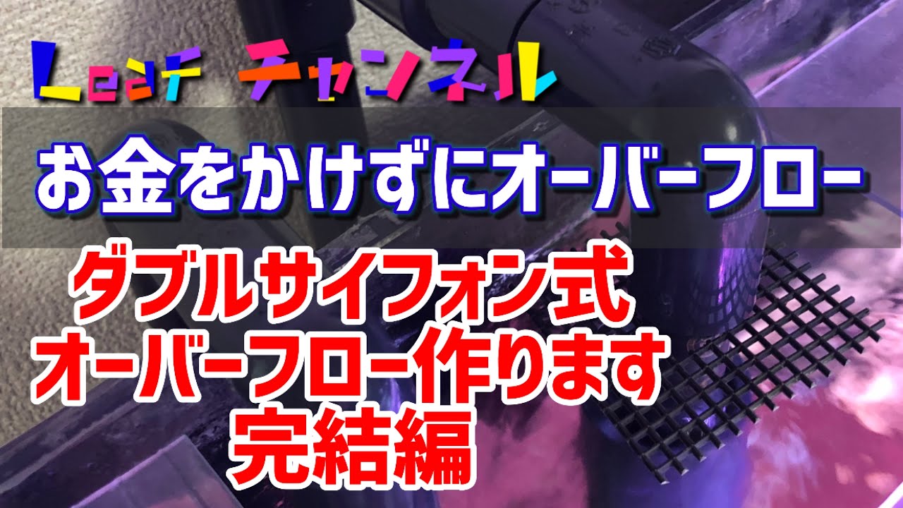 【熱帯魚　アクアリウム】ろ過強化へ③ダブルサイフォン式オーバーフロー制作〜完結編〜