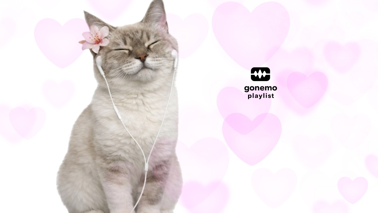 𝐏𝐥𝐚𝐲𝐥𝐢𝐬𝐭 누구나 봄을 즐길 자격이 있다