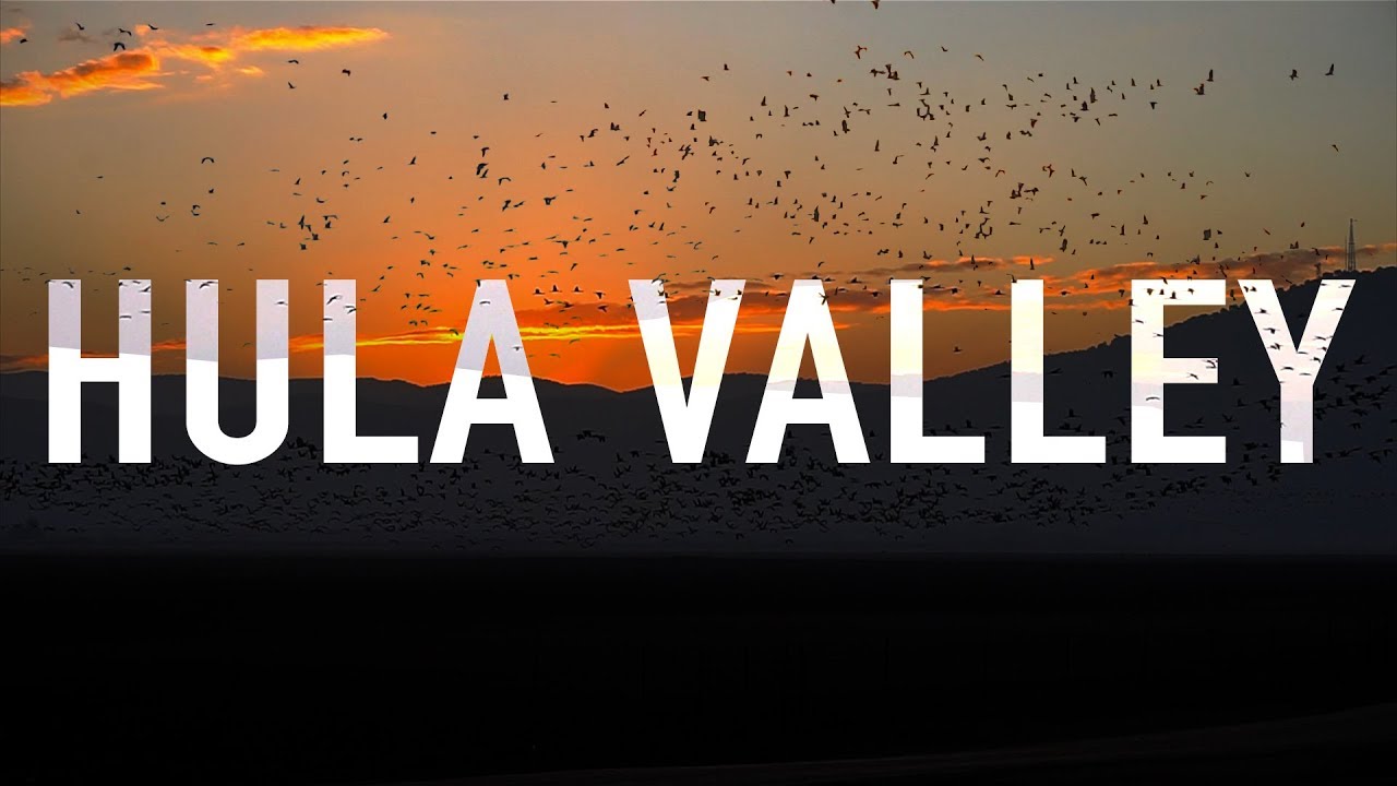 A place where 500 million birds land at once