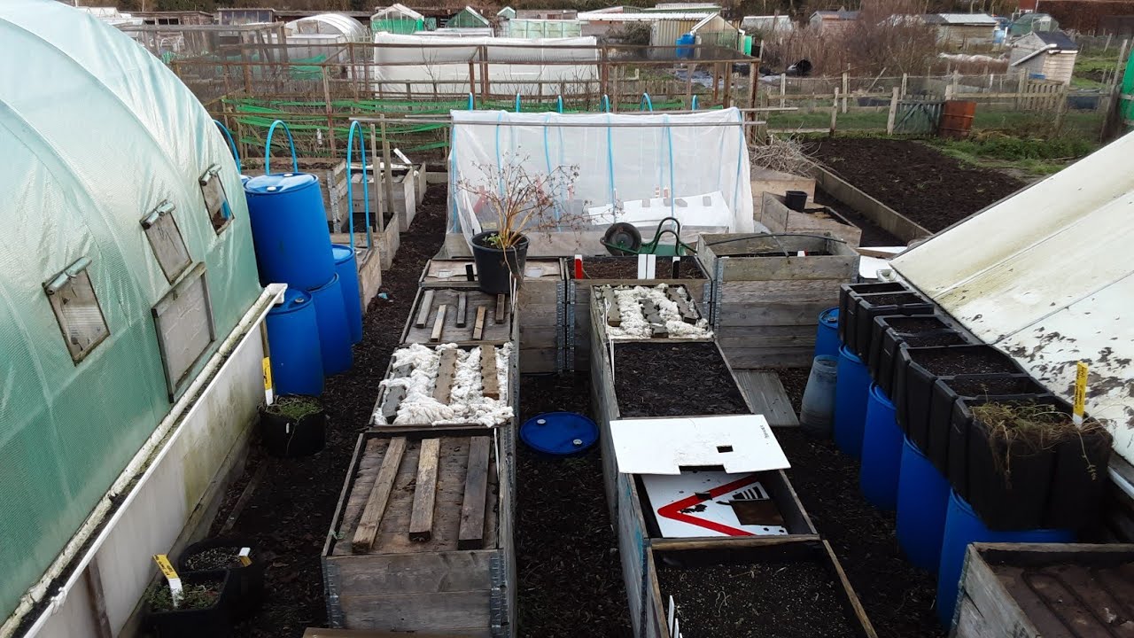 Allotment Gardening 2024 Review ❄️ Terry King's Allotment Gardening On A Budget ❄️ Happy New Year