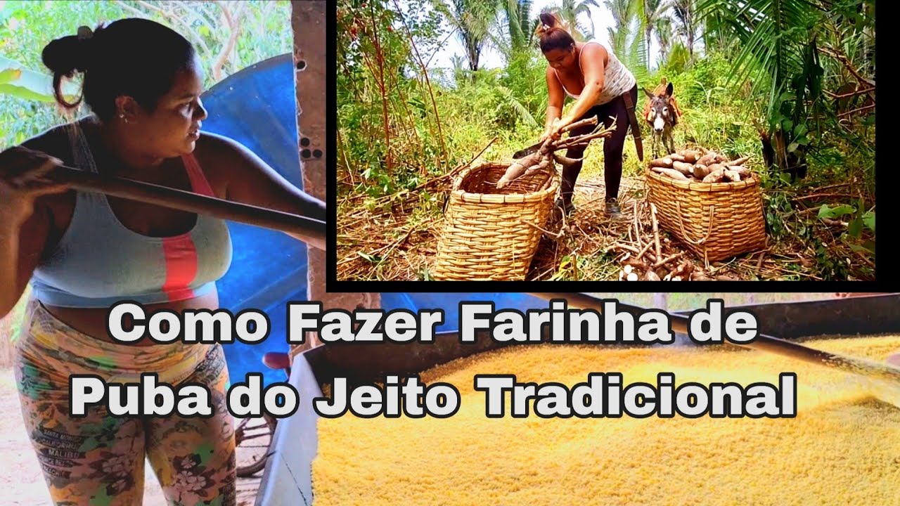 Como Fazer Farinha de Puba do Jeito Tradicional  da Roça à Feira II