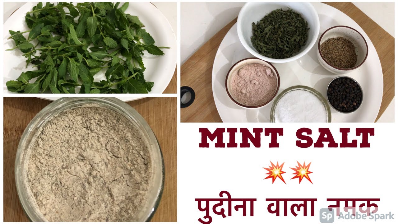 Mint Salt recipe / पुदीना वाला नमक