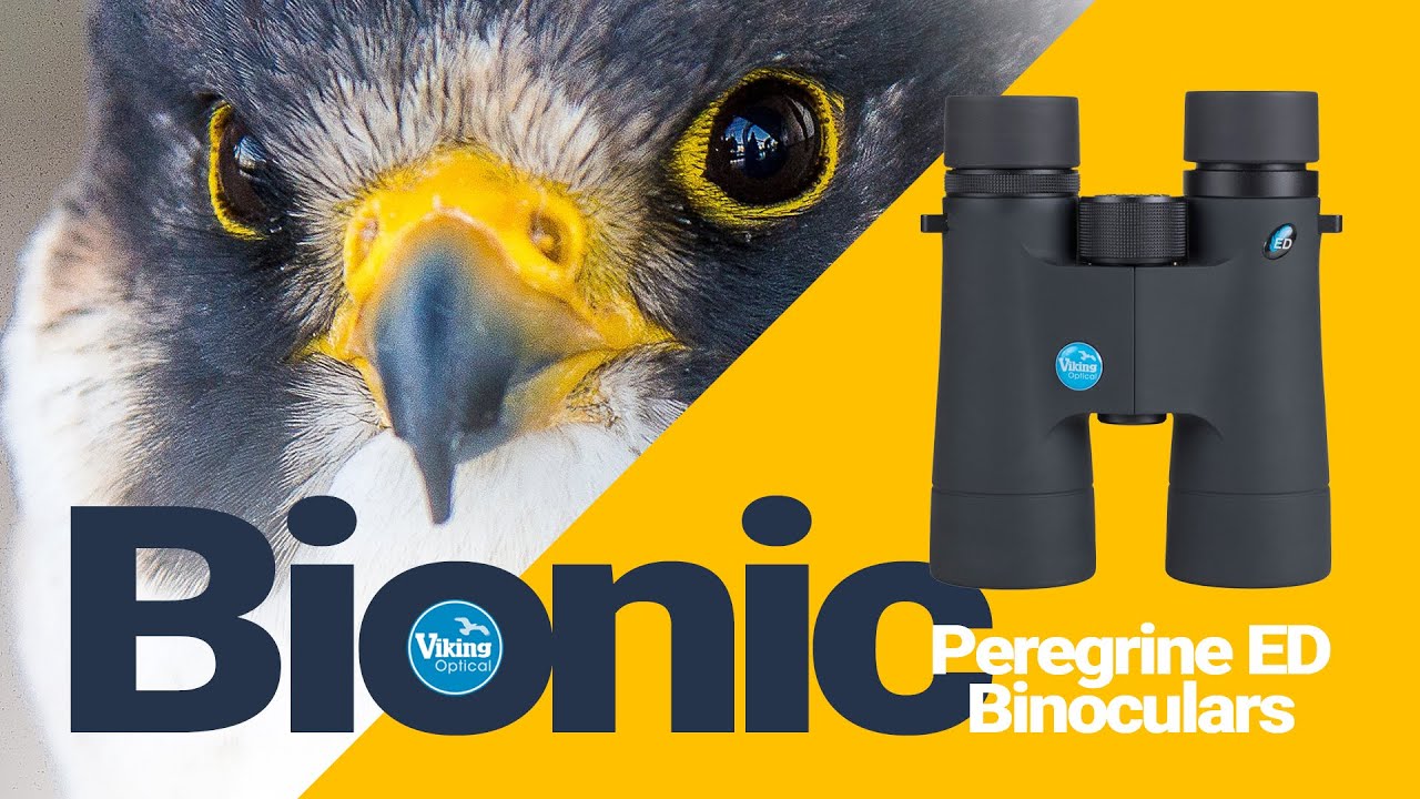 Viking Peregrine ED Binoculars - My bionic eyes