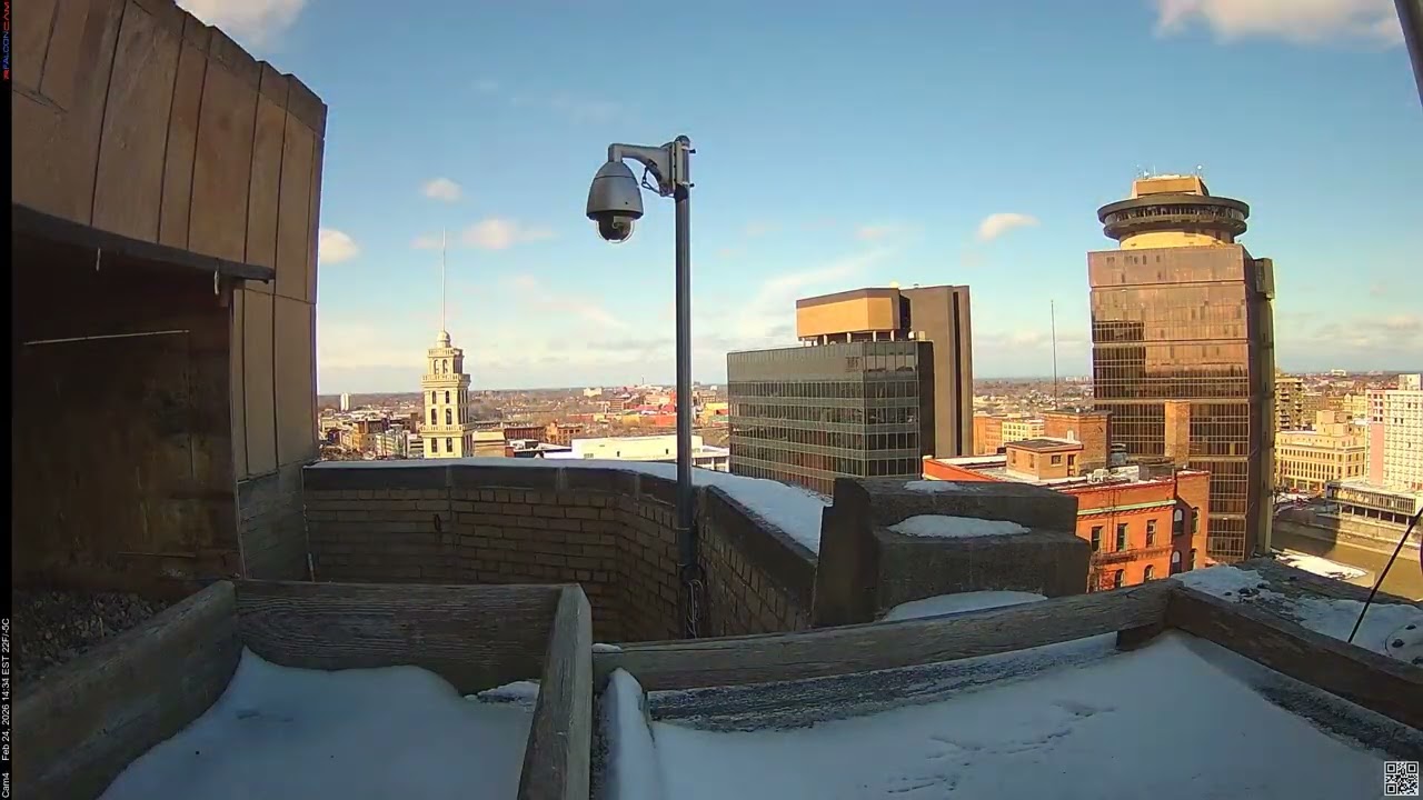Camera 4 - 02/24/26