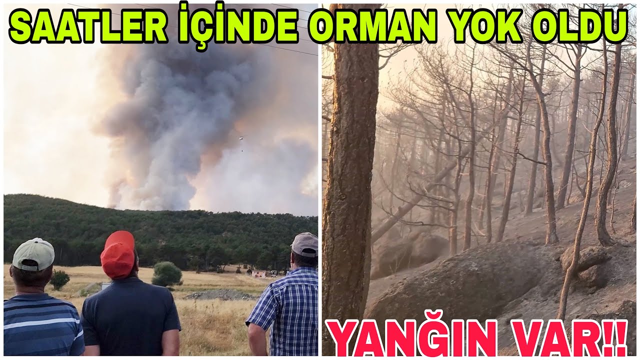 YANĞIN VAR !!TÜM GÜCÜMÜZLE YARDIMA KOŞTUK~SAATLER İÇİNDE BİR ORMAN YOK OLDU