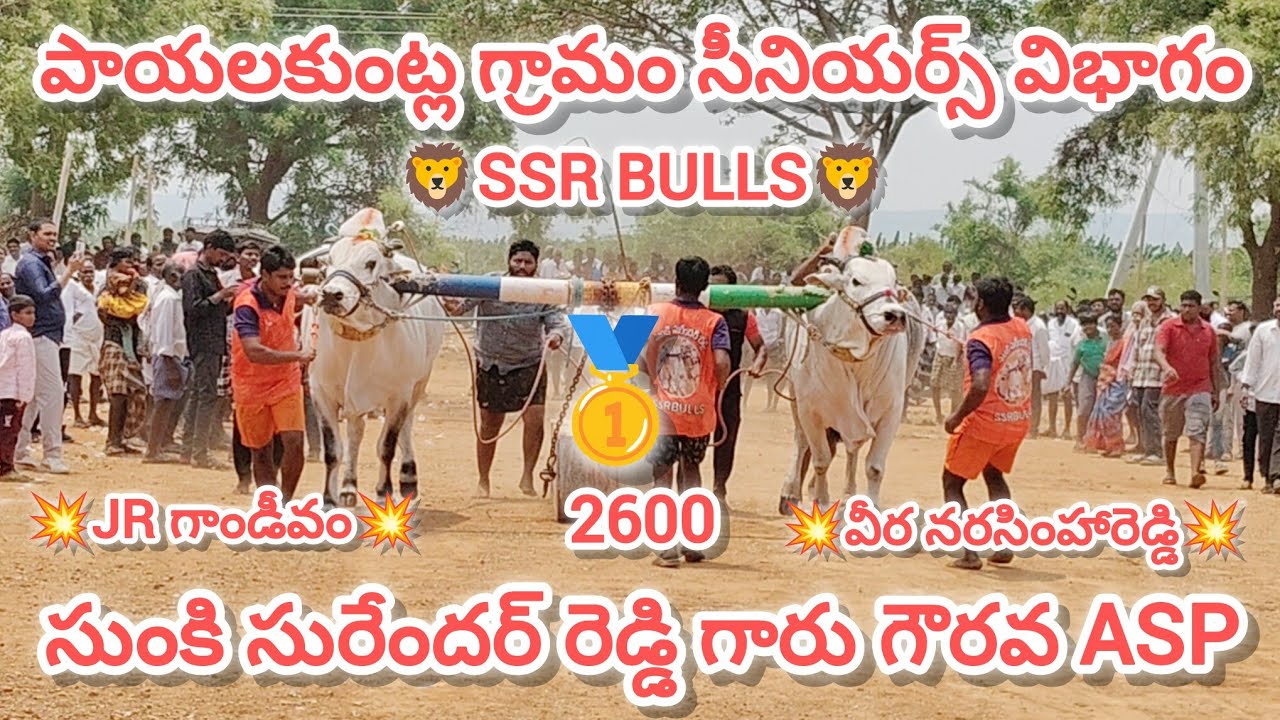 పాయలకుంట్ల గ్రామం||సీనియర్స్ విభాగం 5వ జత 🦁SSR BULLS🦁 సుంకి సురేందర్ రెడ్డి గారు 🏆🥇🏆 29-3-2026💥💥