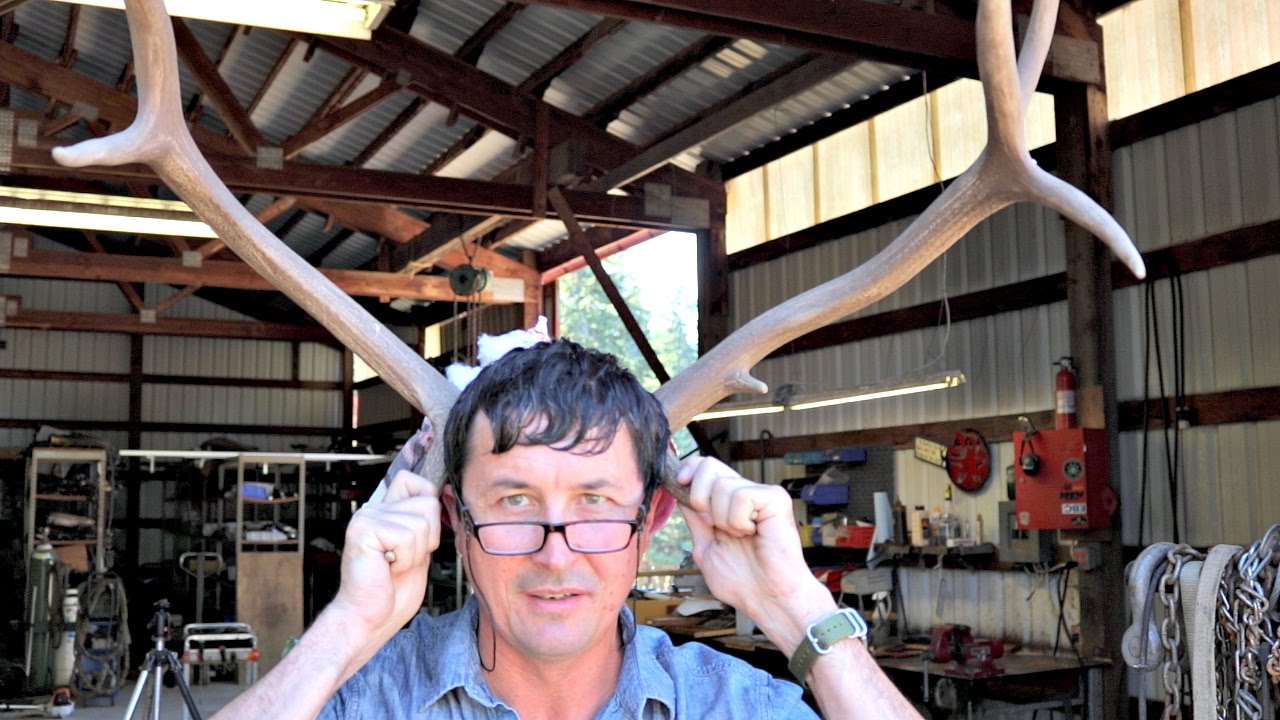 DIY Deer Antler Projects