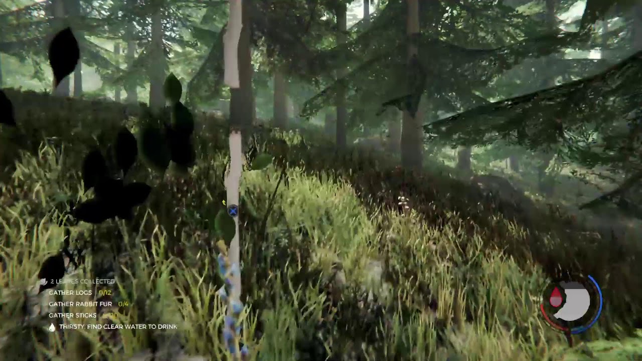 The Forest muliplayer LIVE