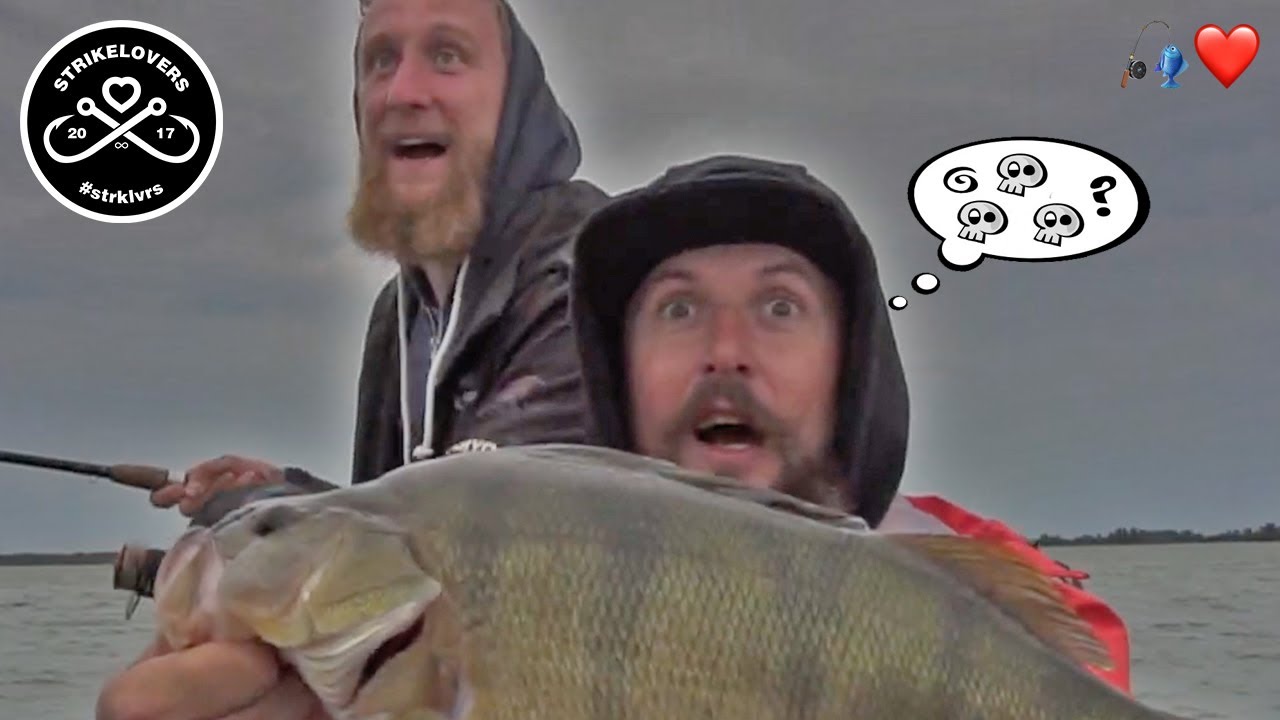 EIN MEER VOLLER RAUBFISCHE?! 🎣❤️ Angeln & Fischen am Volkerak in Holland (Zander, Hecht, Barsch)