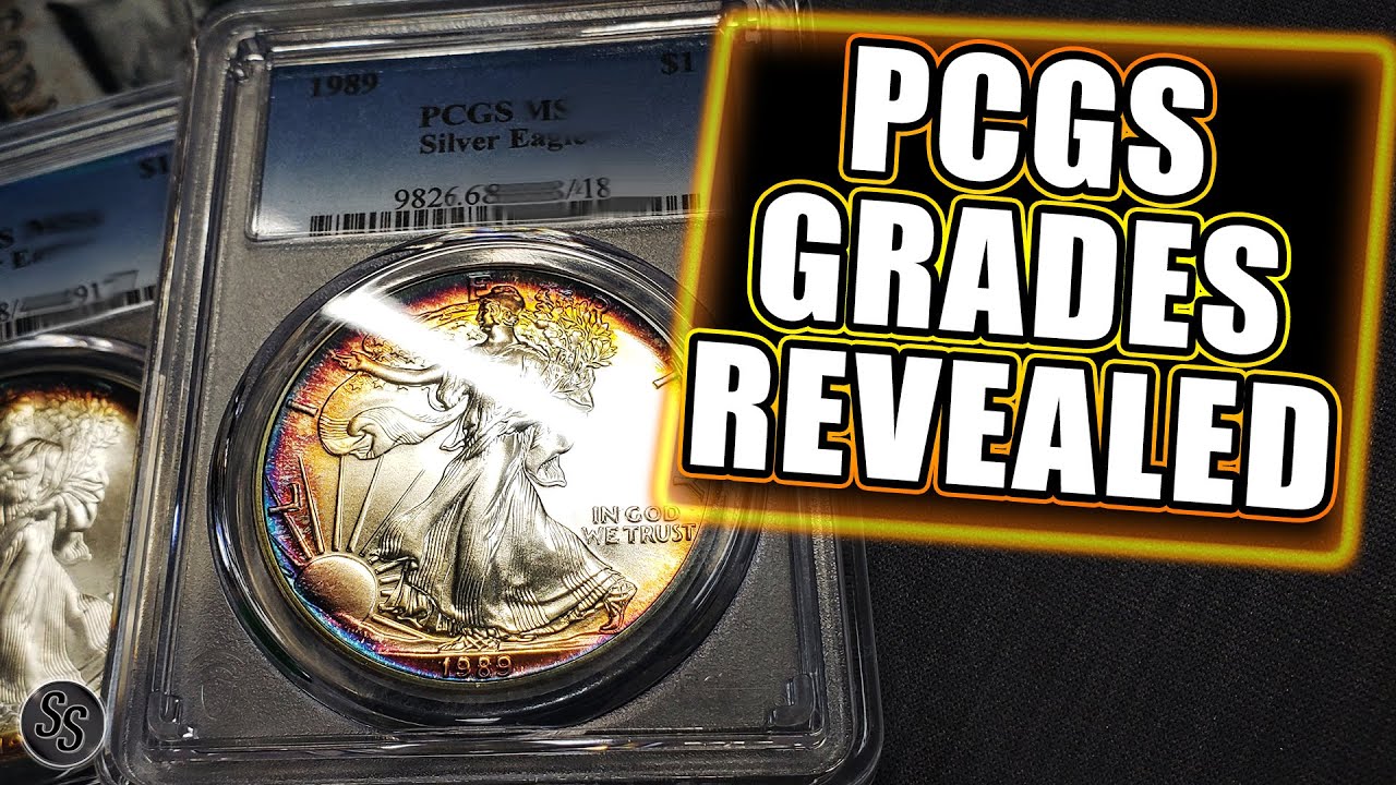 PCGS Grade Results! Beautifully TONED Silver Eagles!