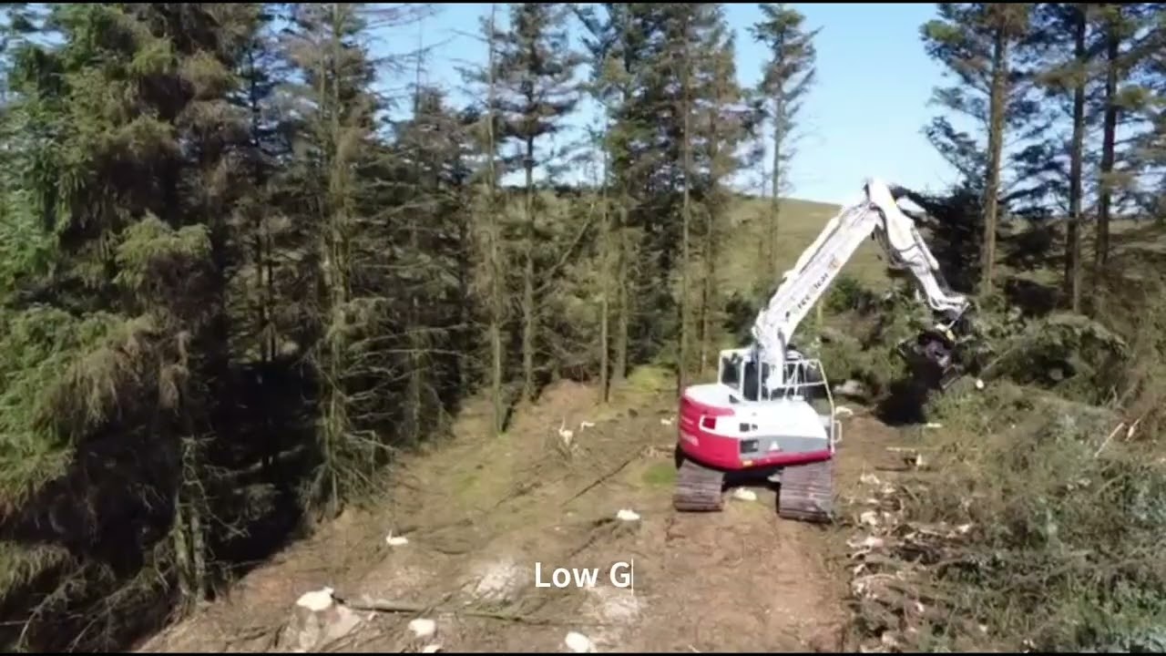 Tree Shearing for Woodland to Moorland Restoration – Yorkshire