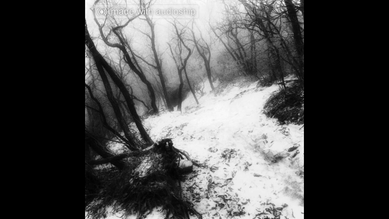 Расчлененка Юри - Lord of War (Black Metal)
