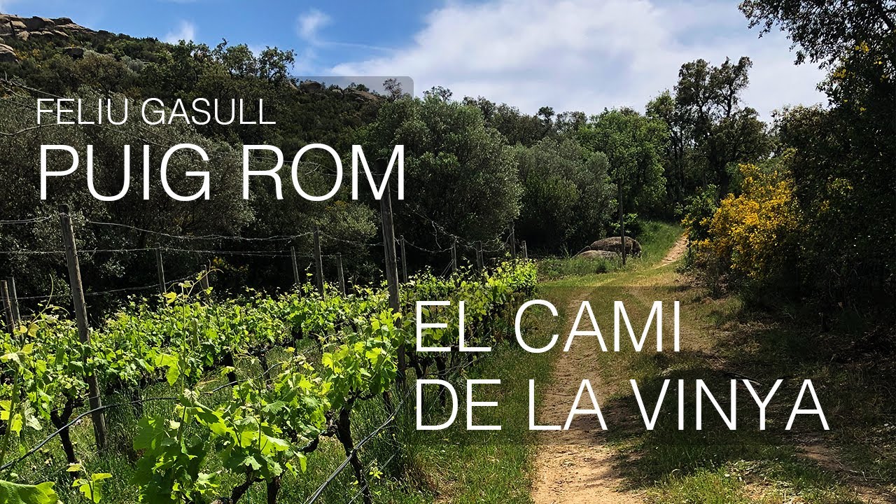 Feliu Gasull - Puig Rom | El Cami de la Vinya