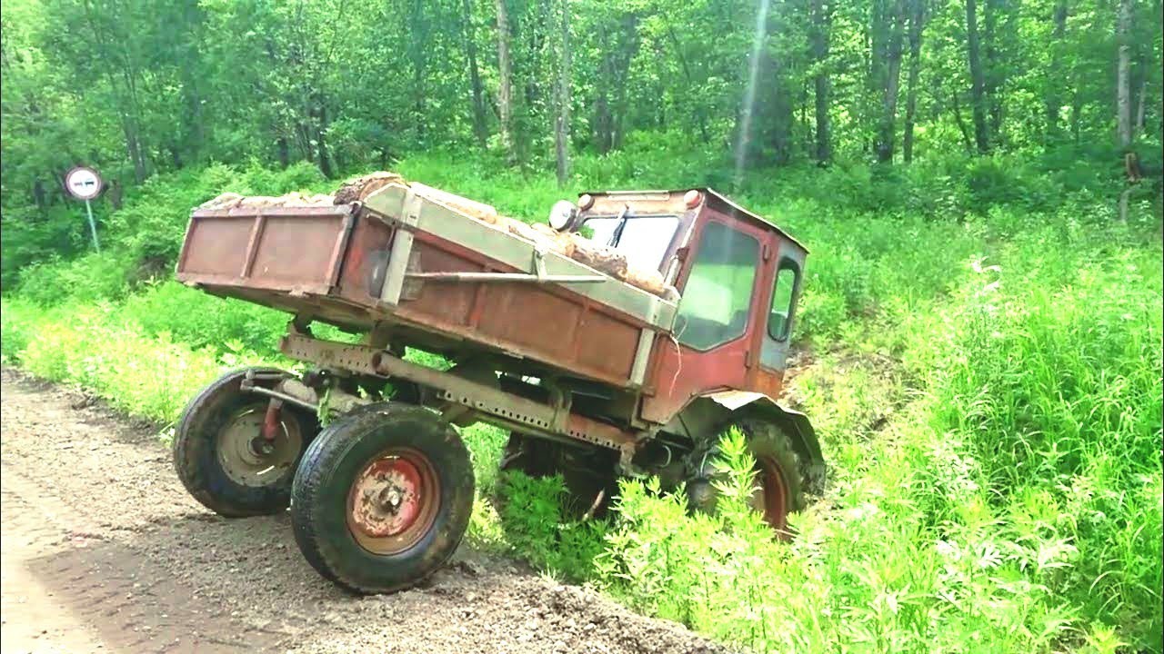 Dangerous moments in the forest with the T 16M tractor
