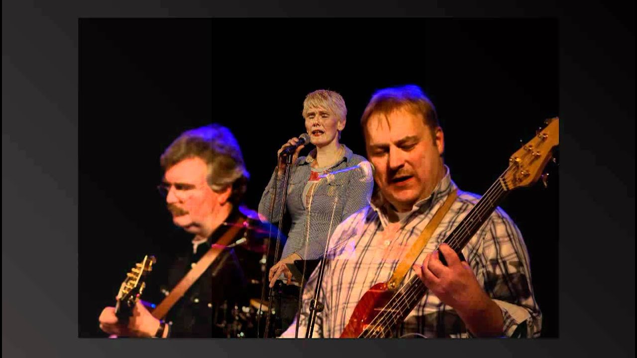 Concert Buddy Greene, Jeff Taylor en de Country Trail Band