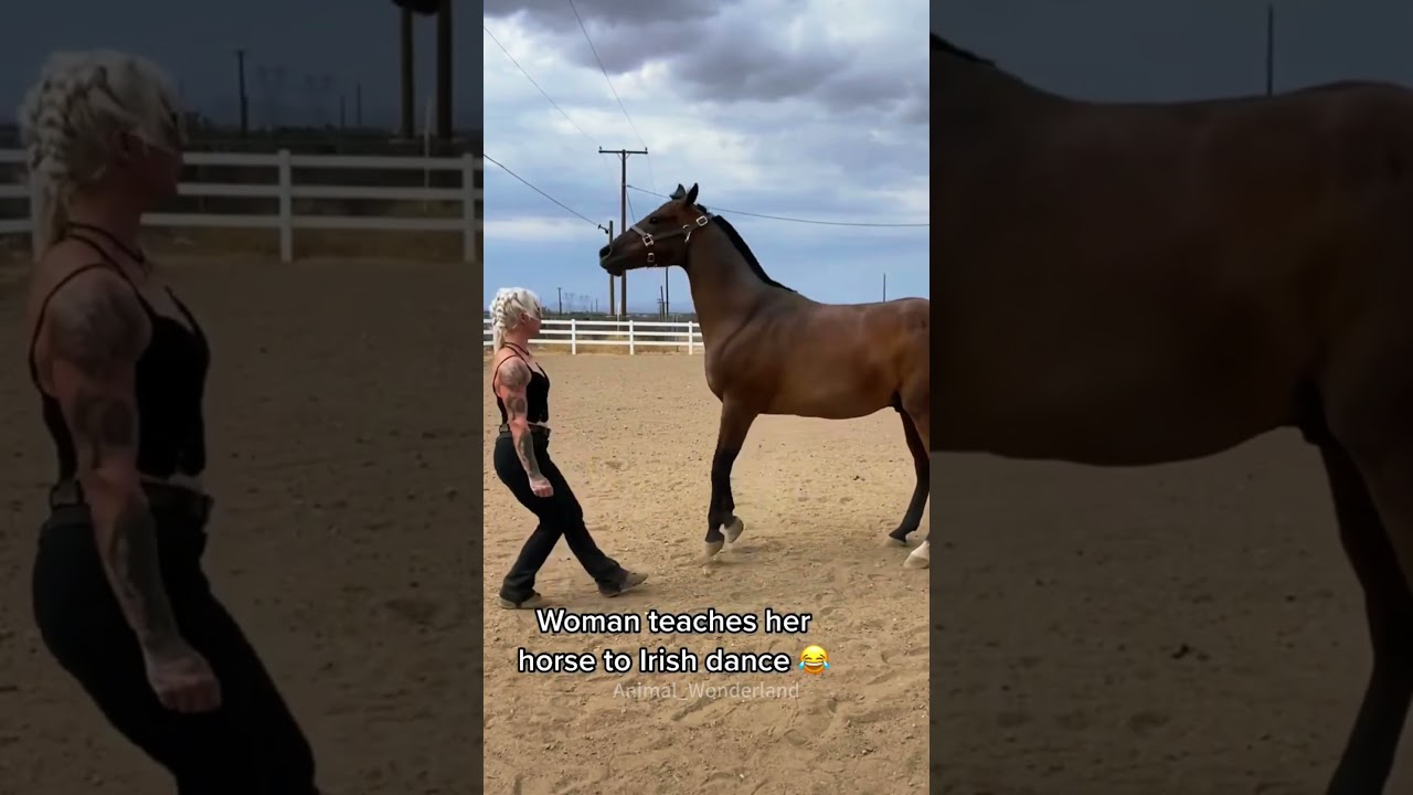 Dancing horse#horse#horsevideo #fyp