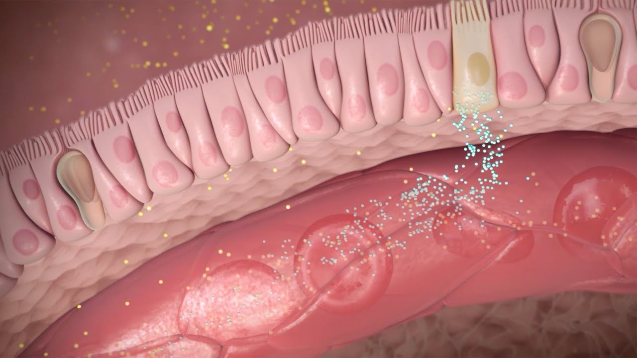 Cómo actúa la semaglutida en la pérdida de peso y la diabetes tipo 2
