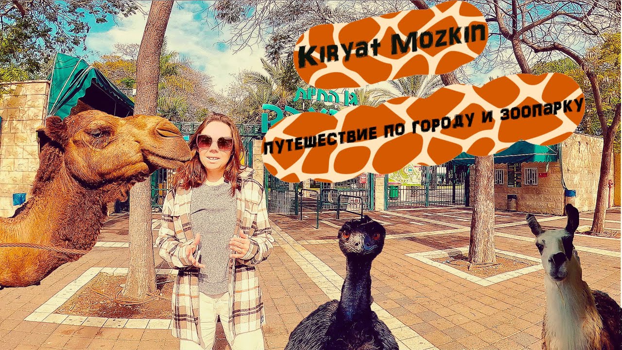 Семейные выходные в Kiryat Mozkin: путешествие по городу и зоопарку